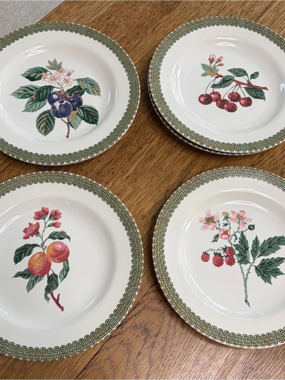 White Ceramic Fruit-Pattern Dinnerware Bowl with Green Trim